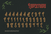 Luvertown, a Serif Font by ilhamtaro (Thumbnail 9 of 11)
