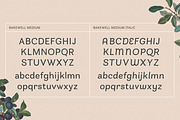 Bakewell Complete Family, a Sans Serif Font by Kimmy Design (Thumbnail 8 of 14)