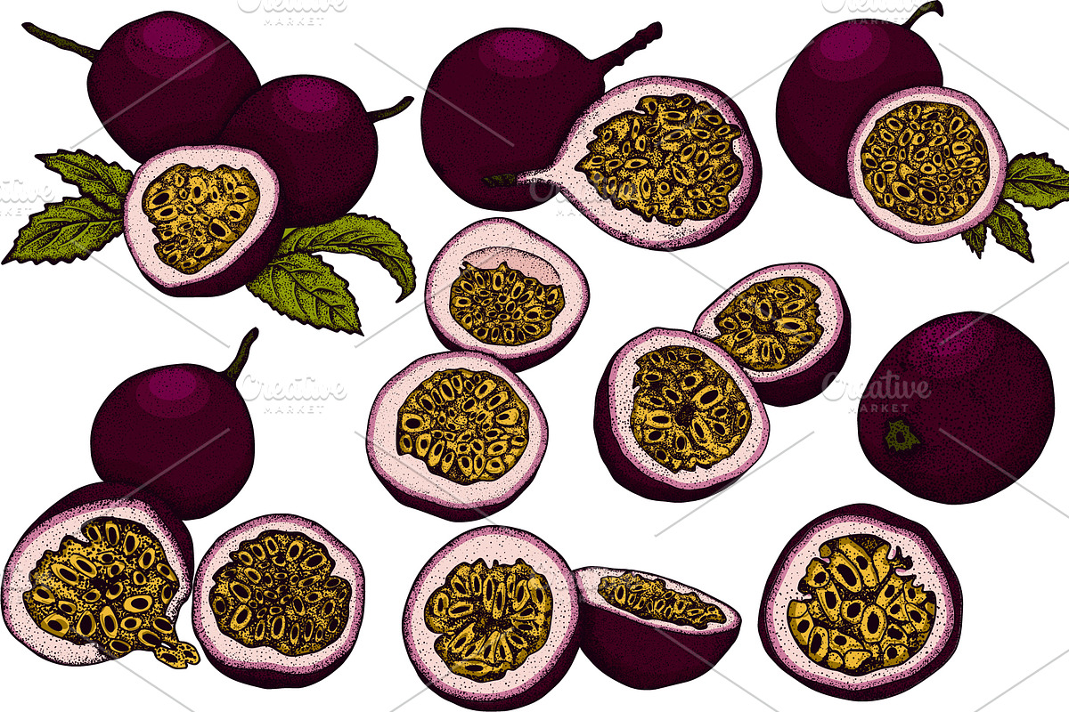 Hand drawn passion fruits, a Food Illustration by Elena Mykhailenko (Photo 5 of 8)