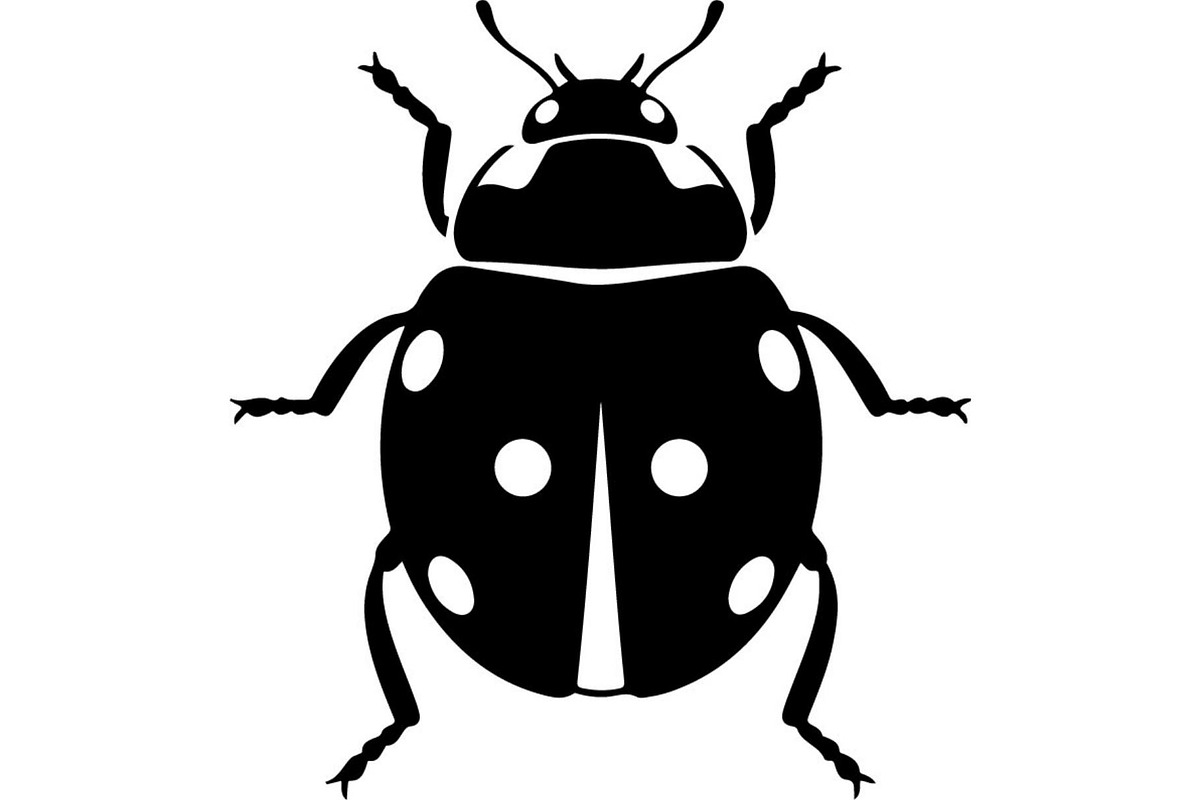 Ladybug Silhouette, an Object Graphic by Designer_Momina (Photo 16 of 20)