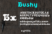 Bushy font family, a Script Font by vlad.berla (Thumbnail 5 of 12)