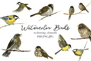Watercolor Birds, an Animal Illustration by cat_arch_angel