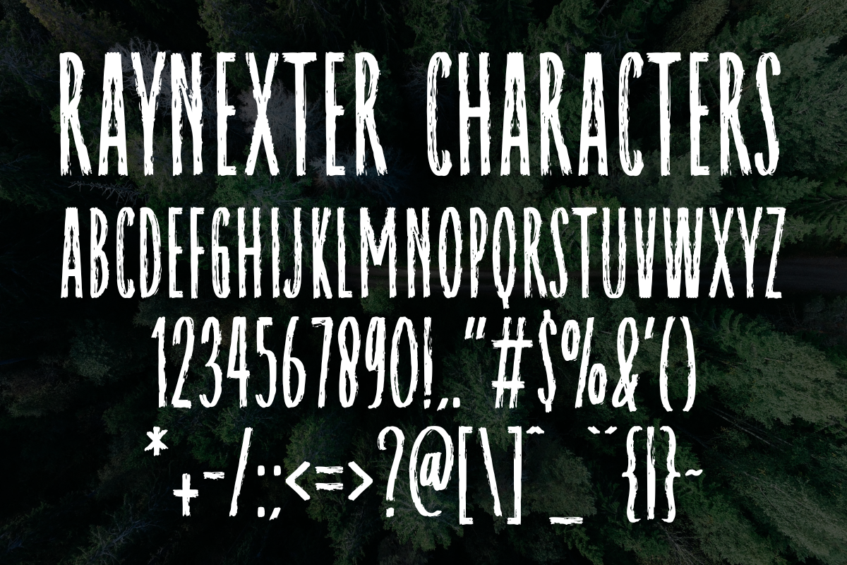 Raynexter – Condensed Brush Font, a Sans Serif Font by Fikryal Studio (Photo 11 of 11)