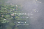 Abstract background textured posters, a Background Graphic by Grace Noboa Illustrations (Thumbnail 5 of 19)