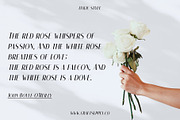 Roku Rounded, a Sans Serif Font by Craft Supply Co. (Thumbnail 8 of 8)