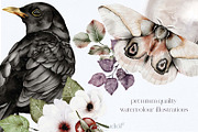 Forest Illustrations Mystic Autumn, an Animal Illustration by Busy May Studio (Thumbnail 3 of 20)