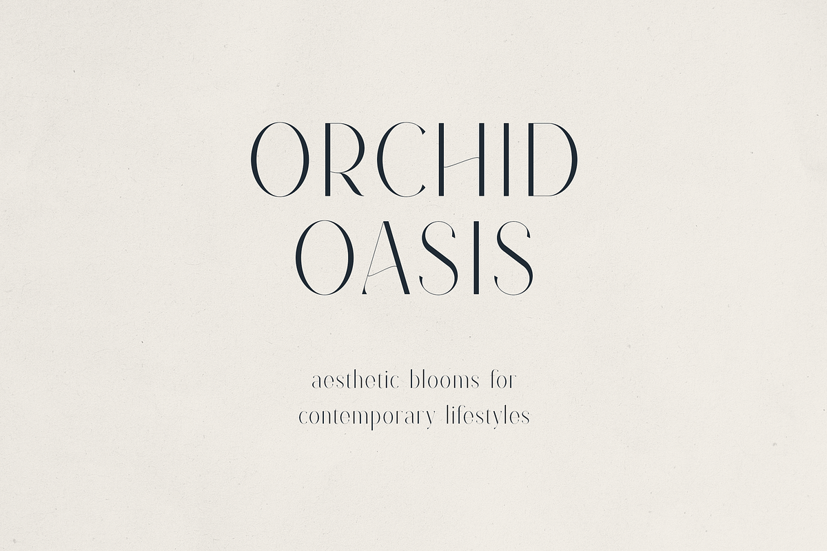 Font Bundle Vol.08 - 8 Premium Fonts, a Serif Font by Only Fonts (Photo 23 of 26)