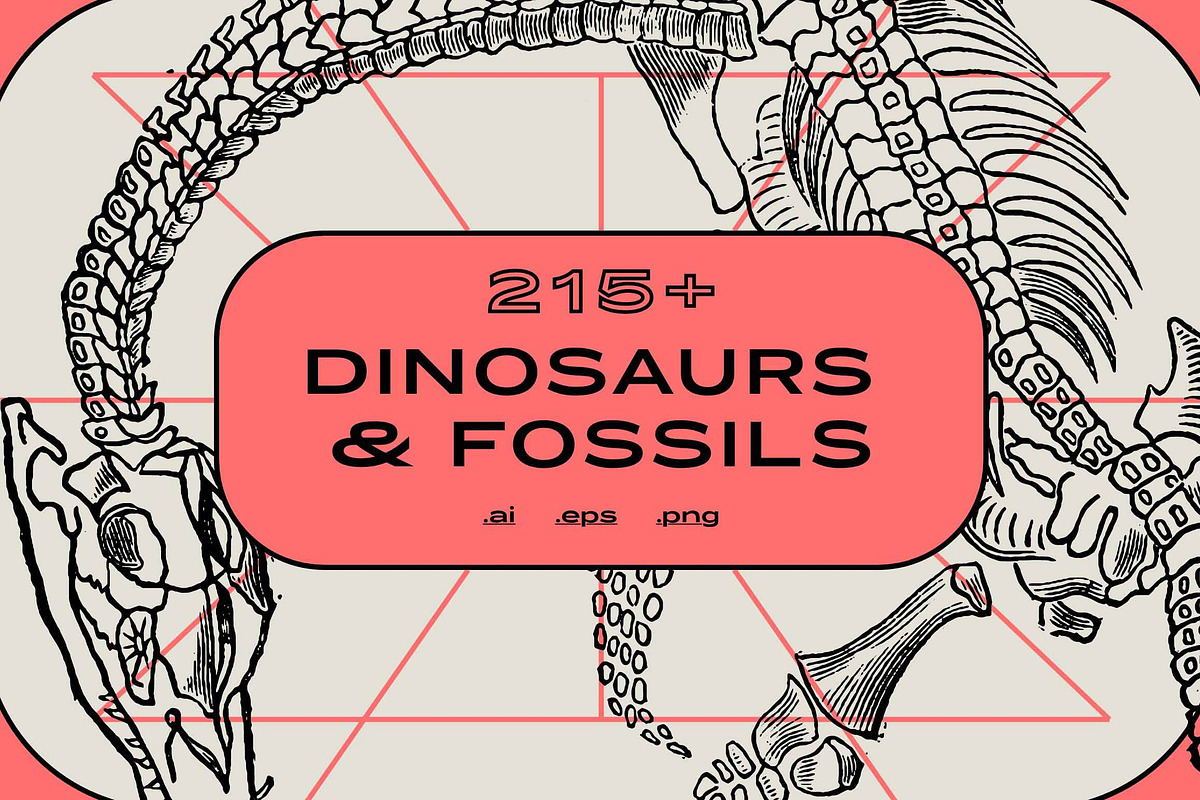 Vintage Bundle - 6600+ Illustrations, an Object Graphic by Nomad Visuals (Photo 36 of 46)