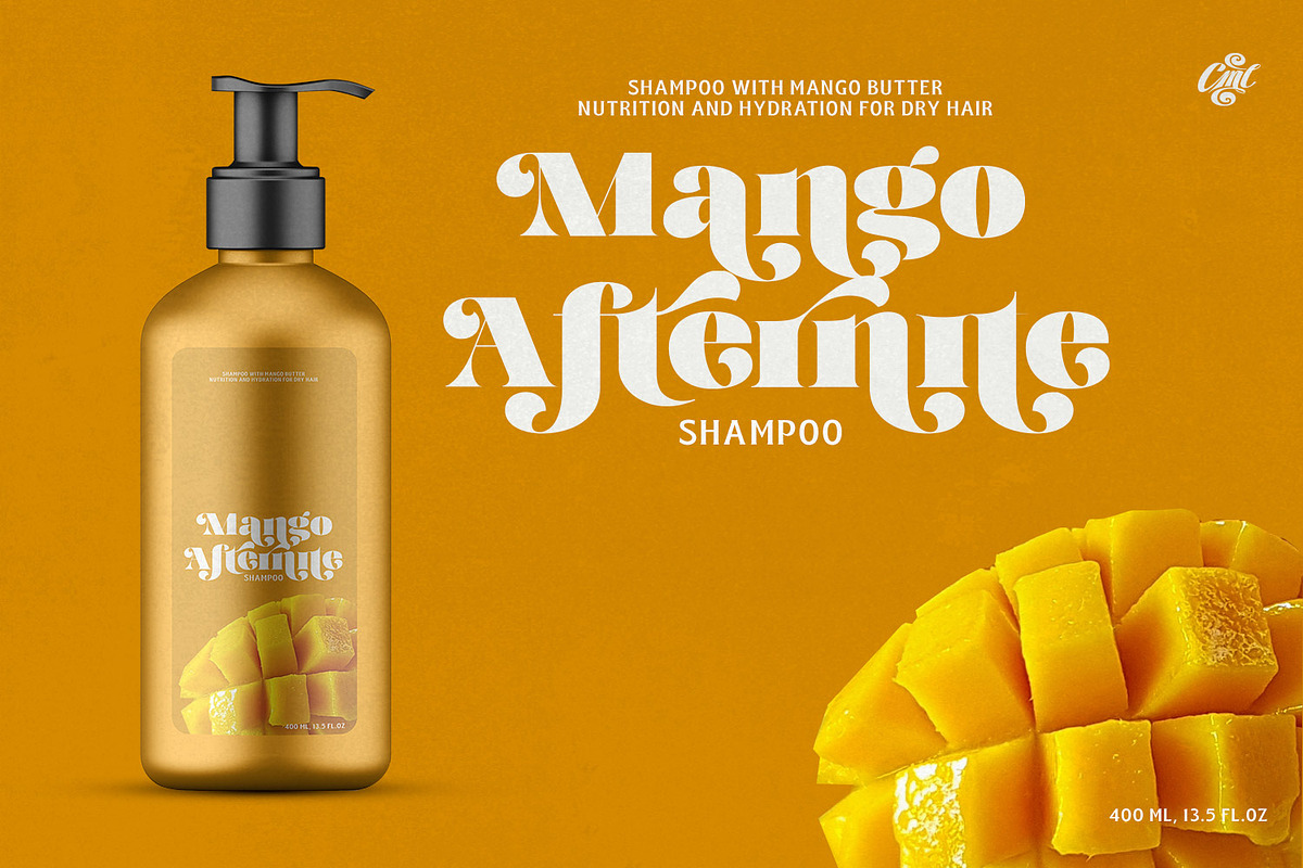 Magrit - Vintage Retro display Serif, a Sans Serif Font by creativemedialab (Photo 3 of 14)