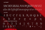 Vroza Conte - Elegant Modern Display, a Serif Font by Qweera Studio (Thumbnail 12 of 12)