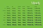 Mintely, a Serif Font by din-studio.com (Thumbnail 8 of 12)