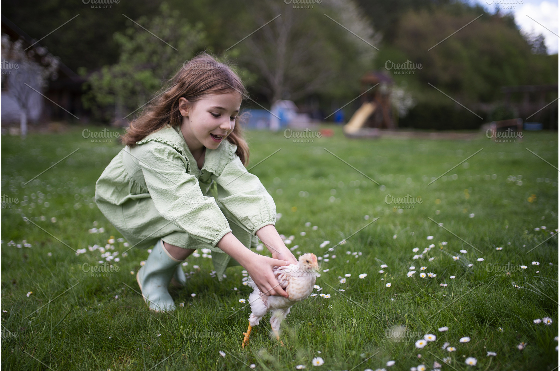 Child gently holding baby chicken, a Nature Photo by HalfPoint
