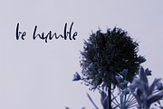 Minacht Font, a Script Font by SophieSaxo (Thumbnail 6 of 6)