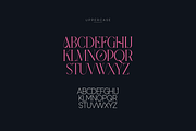 SALE! Modern Heritage font duo, a Serif Font by VP Fonts (Thumbnail 17 of 23)