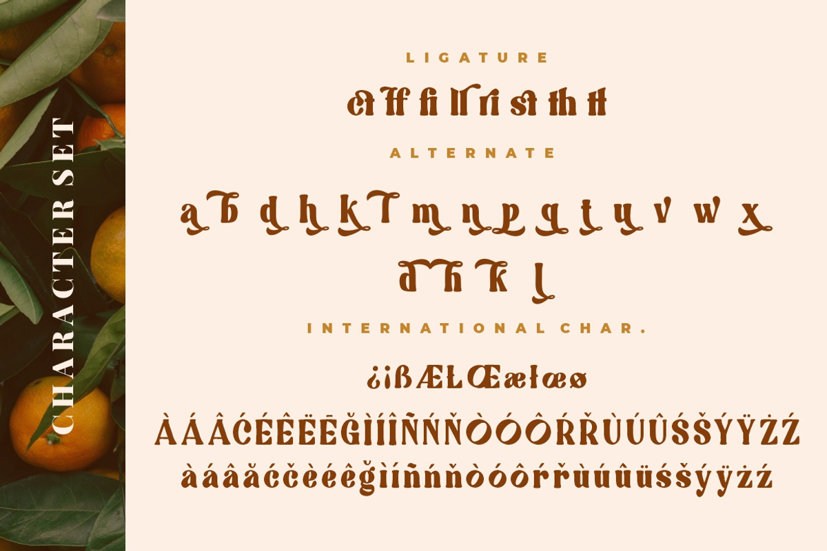 Quickly Sustain Modern Serif, a Serif Font by Creatype Studio (Photo 9 of 9)