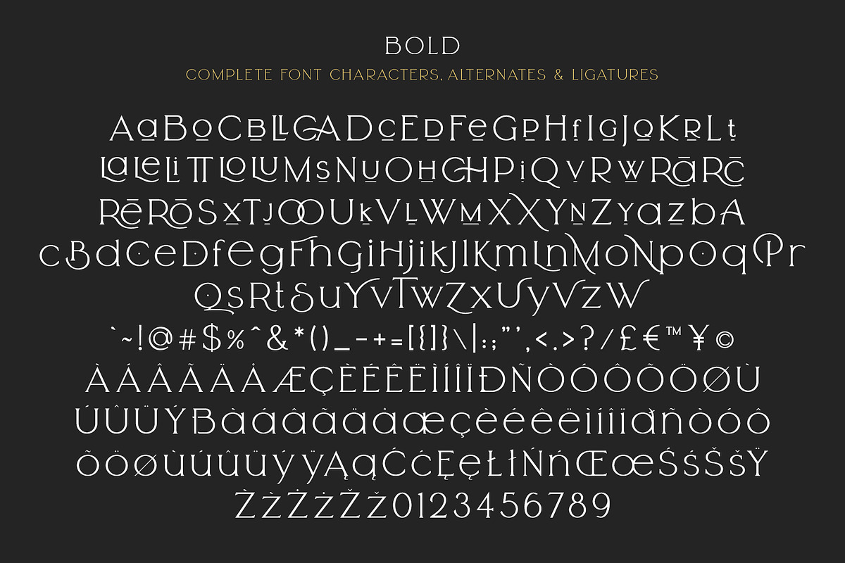Arrogant Font, a Serif Font by Graphicdome (Photo 24 of 24)