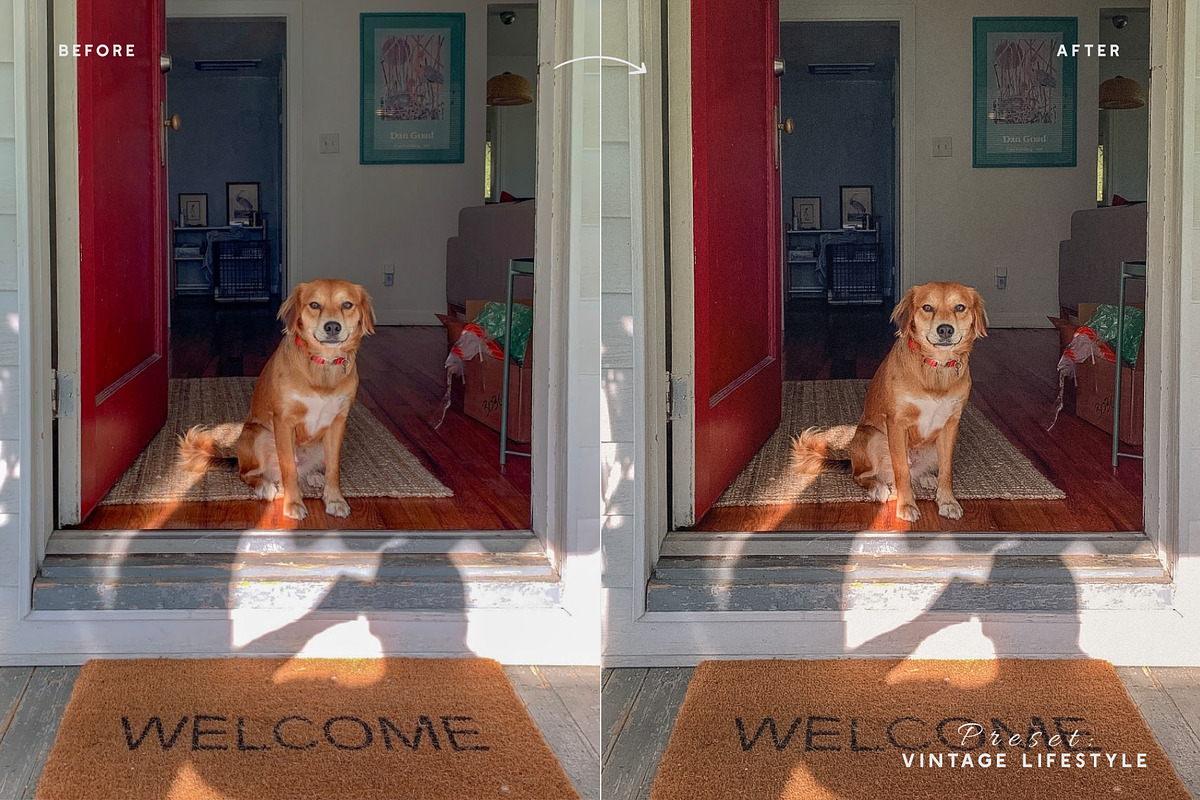 Summer Gold Warm Lightroom Presets, an Action Add-On by Effect-Hub (Photo 15 of 18)