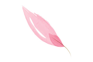Pink watercolor leaf painted with, an Object Illustration by okskukuruza