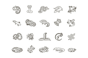 Reptiles and amphibians icons set, an Animal Illustration by Tettygreen