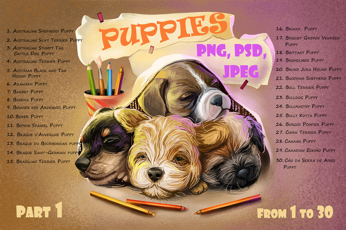 Puppies Dog Breeds Vol. 1; 1 to 30, an Animal Illustration by Dneprstock (Photo 1 of 8)