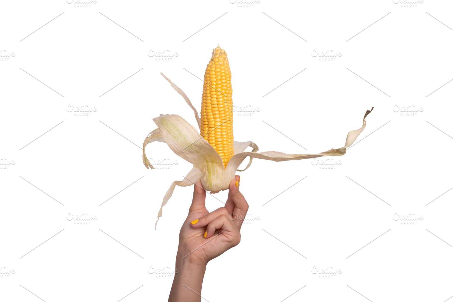 Female hand with yellow nail polish holding a fresh corn cob wit, a Food & Drink Photo by Ales Munt