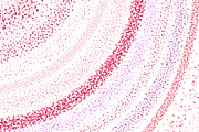 Vector Glitter Confetti Brushes, a Brush Add-On by OlgaRom (Thumbnail 4 of 7)