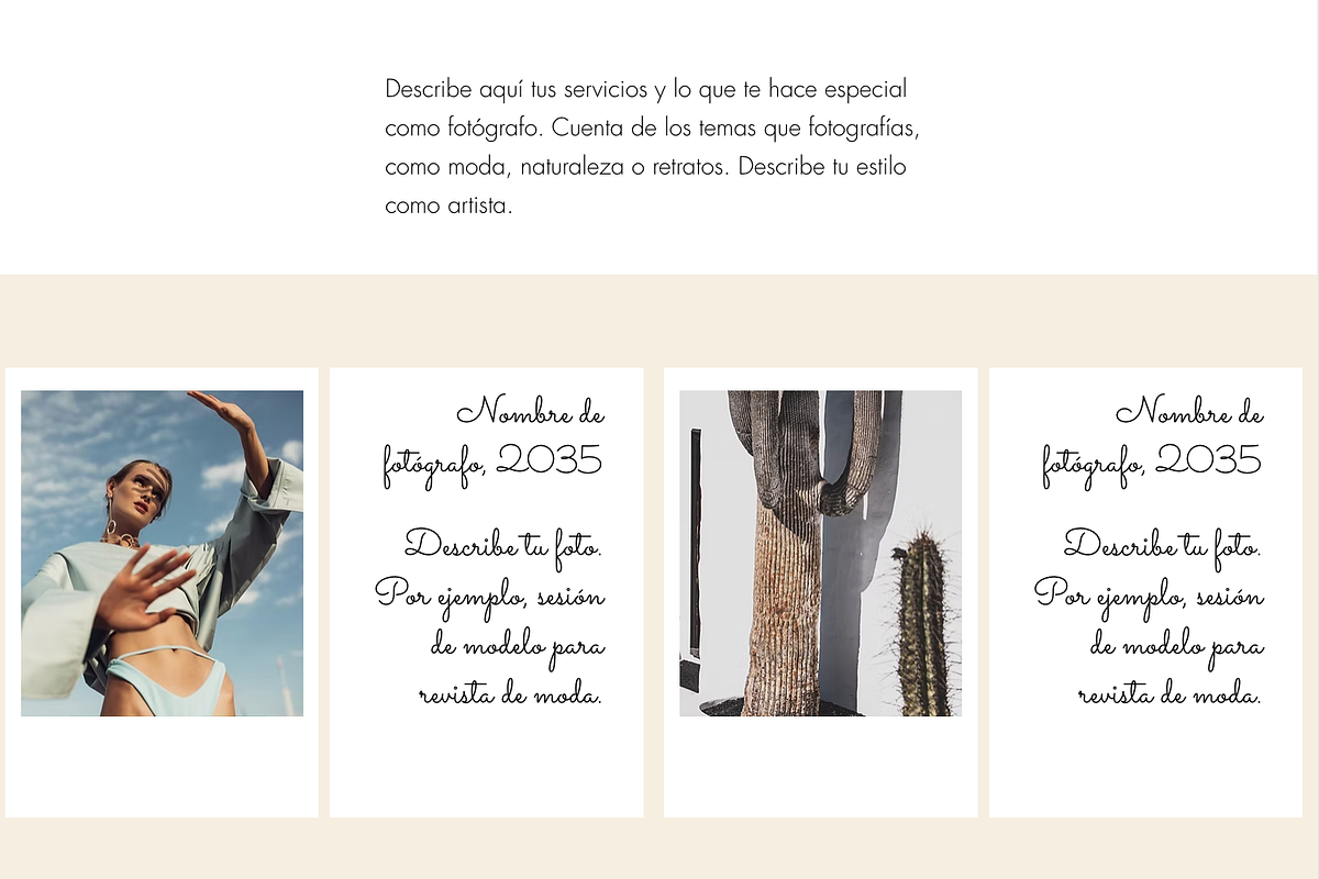 Portfolio Website Template preview 2