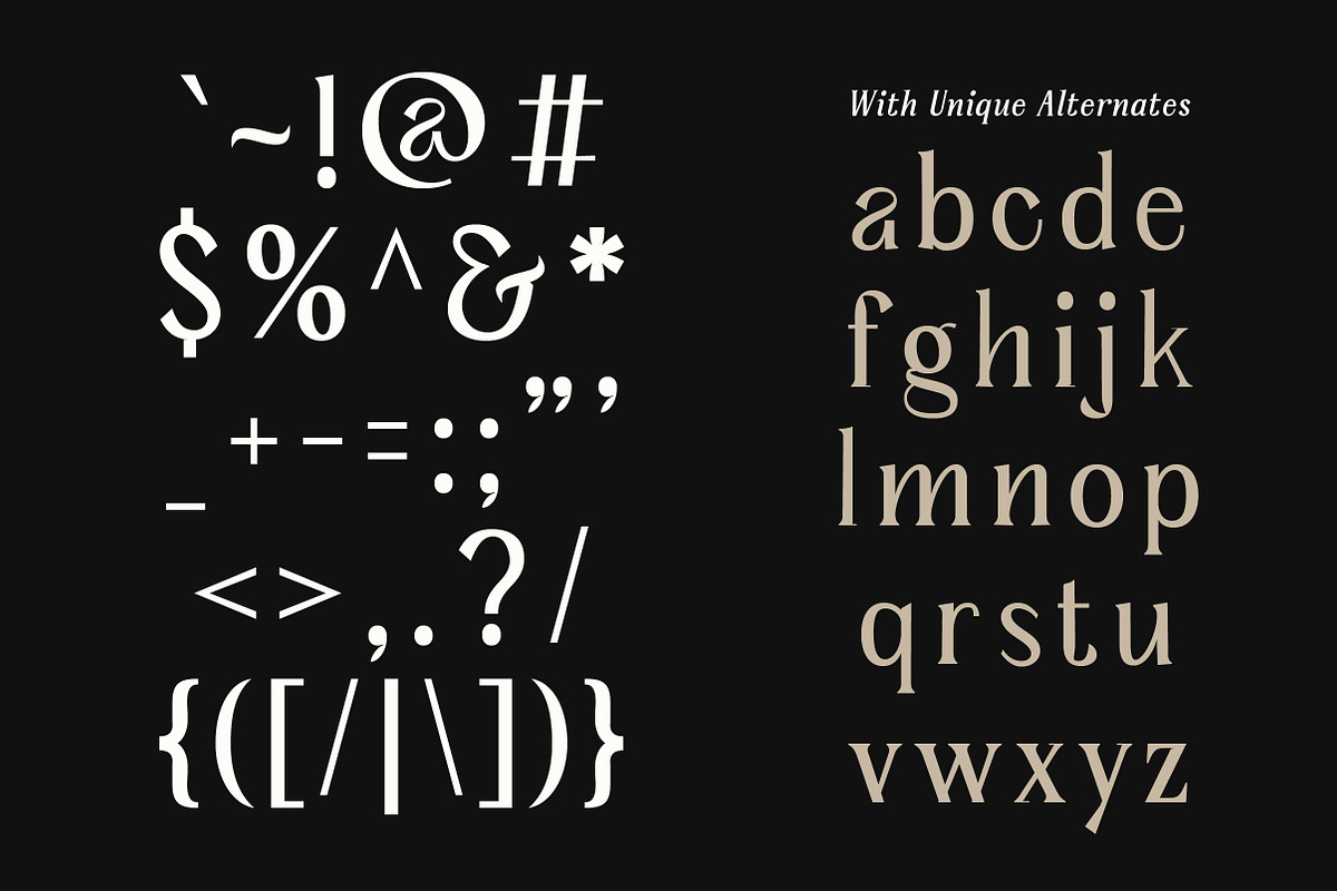 Serelia Serif Family | Intro 60% OFF, a Serif Font by Lettertype Studio (Photo 13 of 17)