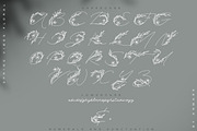 Spring Vibes. Floral Font + Frames, a Script Font by AnMark (Thumbnail 12 of 15)