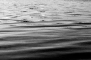 The Deep 