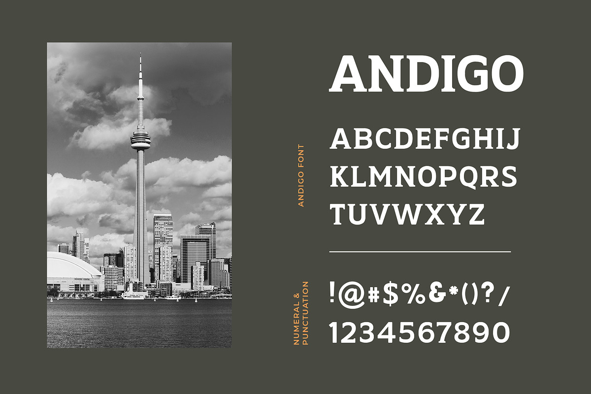 Andigo Display Serif Font preview 4