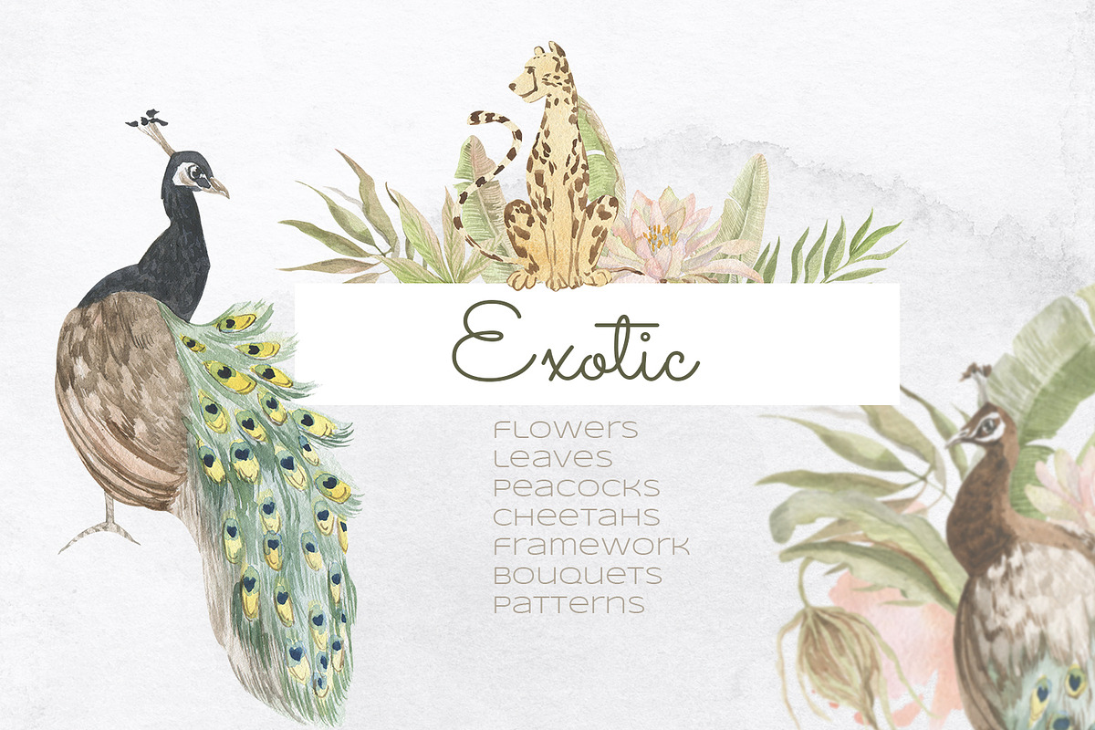 Exotic. watercolor set, an Illustration by Love Watercolor Store (Photo 1 of 11)