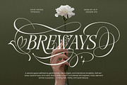 Dove and Goose Typeface, a Serif Font by alit design (Thumbnail 5 of 20)