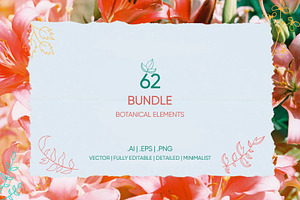 Bundle 62 Vector Botanical Elements