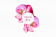 Pink watercolor digital Poppy flower, a Decorative Illustration by Harmony Draws (Thumbnail 6 of 6)