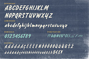 Golden Mileage - Brush Font, a Script Font by Rillatype Studio (Thumbnail 9 of 9)