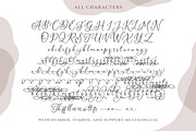 Amerta Misty Script, a Script Font by Letterhend Studio (Thumbnail 9 of 9)