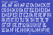 Geajer Font, a Serif Font by 177Studio (Thumbnail 6 of 7)
