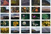 Landscape & Nature: 333 Stock Photos, a Nature Photo by PhotoMarket (Thumbnail 6 of 18)