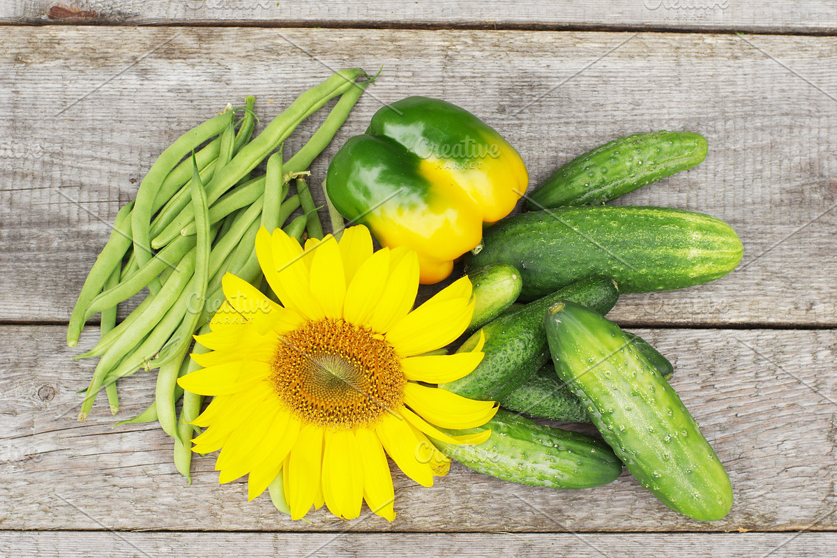 Sunflower, cucumber, peas, pepper, a Health & Medical Photo by Pille Väljataga Photo (Photo 2 of 2)