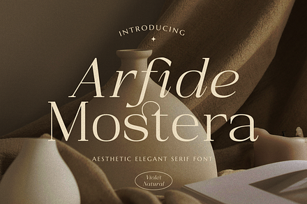 Arfide Mostera Aesthetic Serif Font