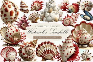Watercolor Seashells Clipart, an Illustration by Sublimation Artist