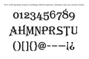 Algerian Mesa Complete, a Font by FontMesa (Thumbnail 5 of 6)