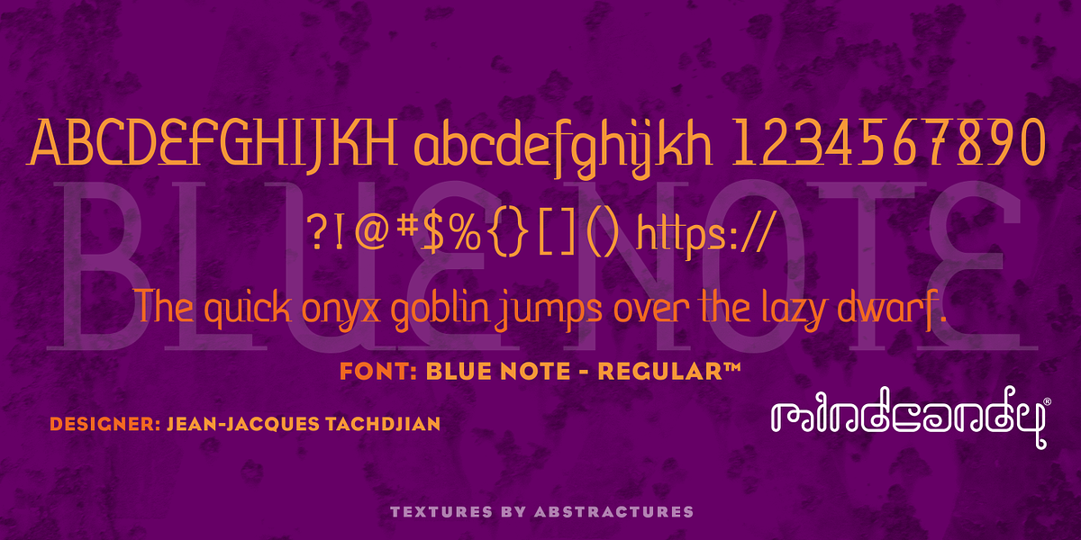 Blue Note™, a Serif Font by MINDCANDY (Photo 1 of 8)