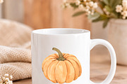 Watercolor Pumpkin Clipart PNG, an Object Illustration by PatternPalette (Thumbnail 4 of 5)
