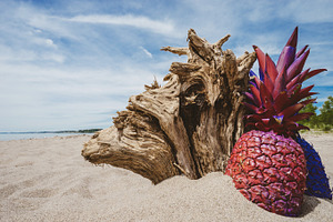 Painted Pineapples with Driftwood