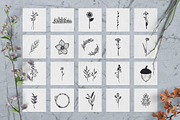 100 Hand Drawn Elements -Floral-, a Decorative Illustration by Michael Rayback Design (Thumbnail 4 of 18)