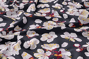 Apricot Branches Big Floral Set, an Illustration by MarynaPetrovska (Thumbnail 11 of 23)