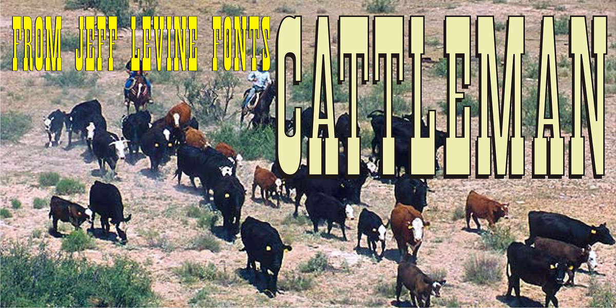 Cattleman JNL, a Slab Serif Font by Jeff Levine Fonts
