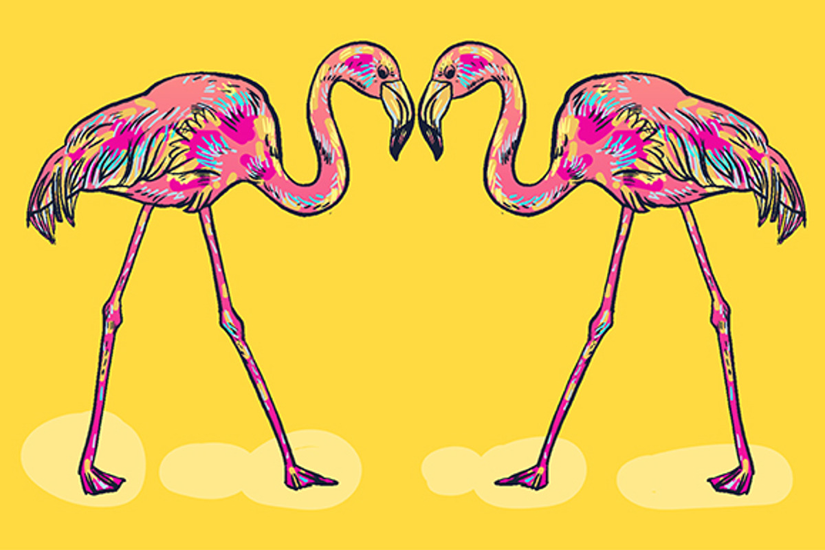 FLAMINGO, an Illustration by Tanya Akhmett (Photo 6 of 11)